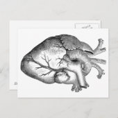 シンプル白黒解剖ハートイラストレーション ポストカード (正面/裏面)