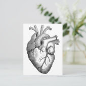 シンプル白黒解剖ハートイラストレーション ポストカード (スタンド正面)