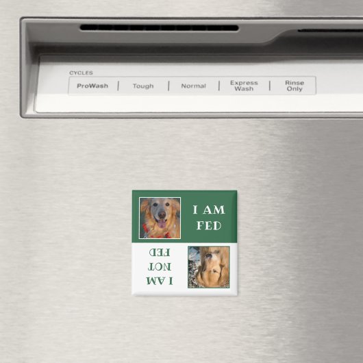 シンプル緑の白い犬の食べ物を与え写真 マグネット (インサイチュ (食洗機))