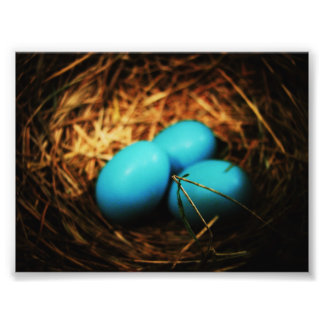 シンプル美しい フォトプリント           