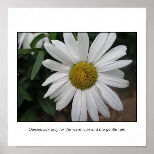 シンプル要求 ポスター (正面)