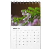 シンプル開花花の写真収集 カレンダー (3月 2027)