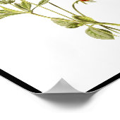 シンプル黄の花フローラ ポスター (角)