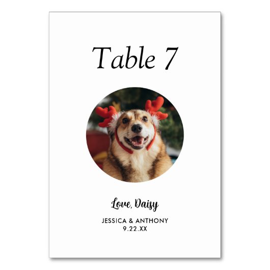 シンプル黒犬と白犬の写真結婚 テーブルナンバー (正面)