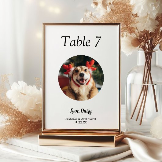 シンプル黒犬と白犬の写真結婚 テーブルナンバー