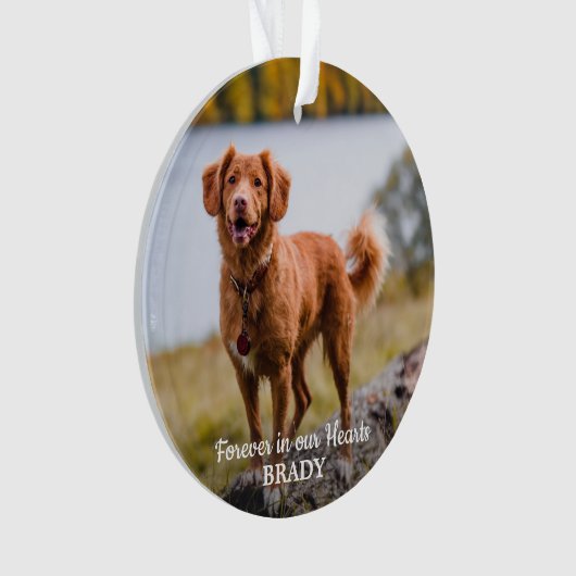 シンプル2パーソナライズされたフォト悔やみや弔慰ペット記念館 オーナメント (正面)