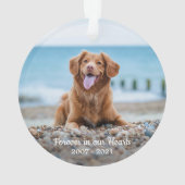 シンプル2パーソナライズされたフォト悔やみや弔慰ペット記念館 オーナメント (裏面)