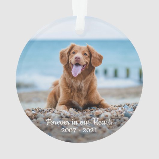 シンプル2パーソナライズされたフォト悔やみや弔慰ペット記念館 オーナメント (裏面)