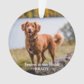 シンプル2パーソナライズされたフォト悔やみや弔慰ペット記念館 オーナメント (正面)