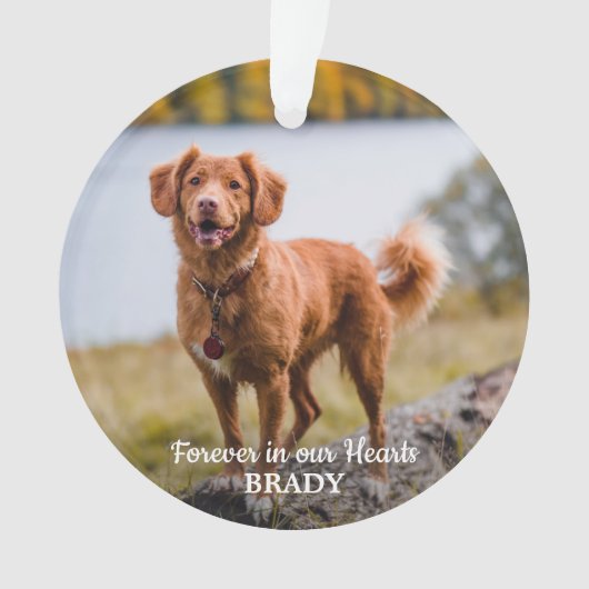シンプル2パーソナライズされたフォト悔やみや弔慰ペット記念館 オーナメント (正面)