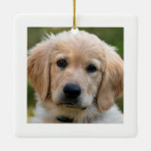 シンプル2犬の写真ペット名クリスマス セラミックオーナメント (裏面)