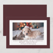 シンプル ライト チョコレート コスモス フレーム フォト シーズンカード (正面/裏面)