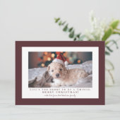 シンプル ライト チョコレート コスモス フレーム フォト シーズンカード (スタンド正面)