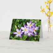 シンボルや象徴の春カード カード (黄色い花)