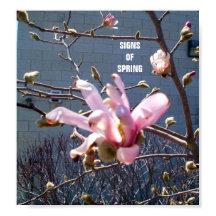 シンボルや象徴の春ポスター