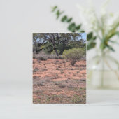 シンボルや象徴オライフ ポストカード (スタンド正面)