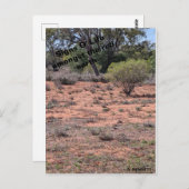 シンボルや象徴オライフ ポストカード (正面/裏面)