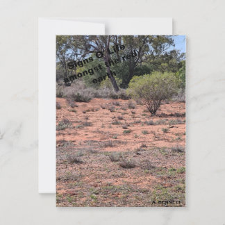 シンボルや象徴オライフ ポストカード