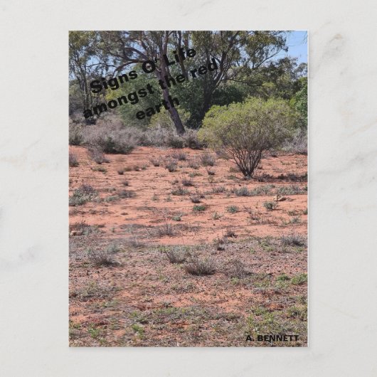 シンボルや象徴オライフ ポストカード (正面)