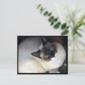 シヴァ ザ スノーシュー ポストカード (スタンド正面)