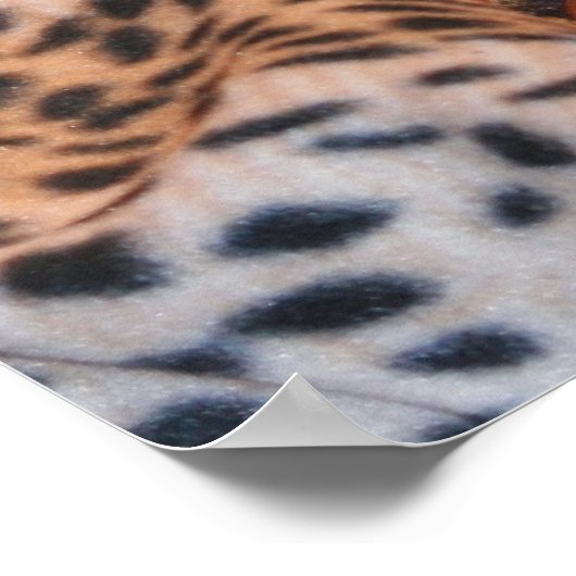 シヴァ ポスター (角)