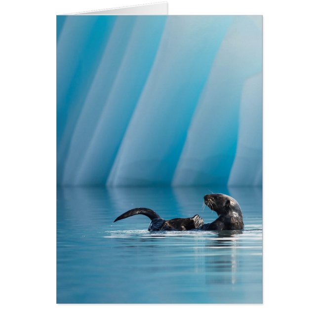 シーよくはしゃぐオッター (正面)