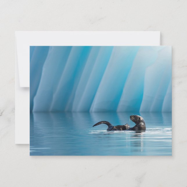 シーよくはしゃぐオッター (正面)