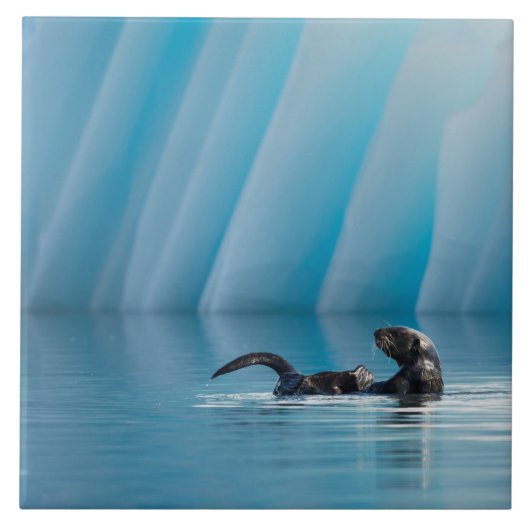 シーよくはしゃぐオッター タイル (正面)