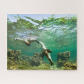 シーよくはしゃぐライオンズパズル ジグソーパズル (横)