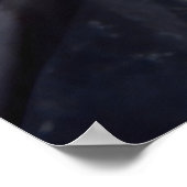 シーよくはしゃぐライオン ポスター (角)