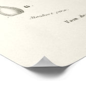 シーアイランドコットン（ゴッシピウム・ヴィティフォリウム） ポスター (角)