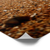 シーアットブライトンビーチ2 ポスター (角)