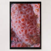 シーアネノームパステルピンク ジグソーパズル (縦)