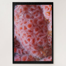 シーアネノームパステルピンク ジグソーパズル