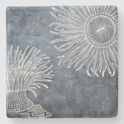 シーアネモネウォーターカラートワイライト海ブルーホワイト ストーンコースター (正面)