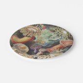 シーアネモネス、アクチニアゼアネモネンエルンストヘッケル ペーパープレート (アングル)