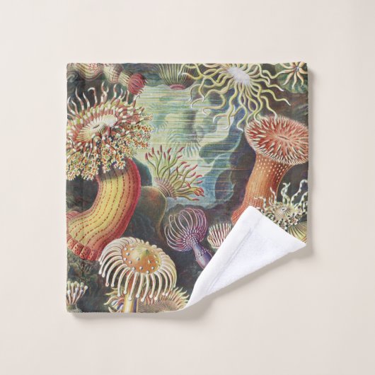 シーアネモネス、アクチニア·シーアネモネン·アーンスト·ヘッケル バスタオルセット (ウォッシュタオル)