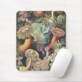 シーアネモネス、アクチニア·シーアネモネン·アーンスト·ヘッケル マウスパッド (マウス)