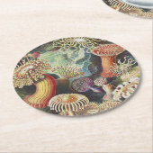 シーアネモネス、アクチニア·シーアネモネン·アーンスト·ヘッケル ラウンドペーパーコースター (アングル)