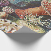 シーアネモネス、アクチニア·シーアネモネン·アーンスト·ヘッケル ラッピングペーパー (角)