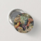 シーアネモネス、アクチニア·シーアネモネン·アーンスト·ヘッケル 缶バッジ (正面&裏面)