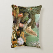 シーアネモネス、ヴィンテージ海洋生物海動物 アクセントクッション (裏面(縦))