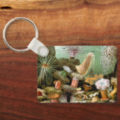 シーアネモネス、ヴィンテージ海洋生物海動物 キーホルダー (裏面)