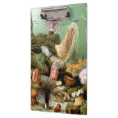 シーアネモネス、ヴィンテージ海洋生物海動物 クリップボード (左)