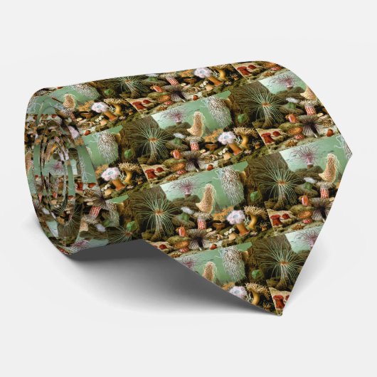 シーアネモネス、ヴィンテージ海洋生物海動物 ネクタイ (ロール)