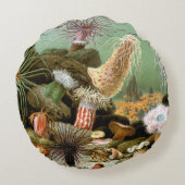 シーアネモネス、ヴィンテージ海洋生物海動物 ラウンドクッション (裏面)