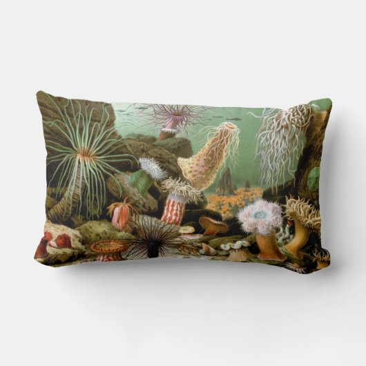 シーアネモネス、ヴィンテージ海洋生物海動物 ランバークッション (裏面)