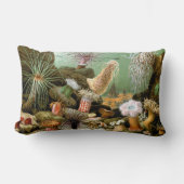 シーアネモネス、ヴィンテージ海洋生物海動物 ランバークッション (正面)