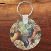 シーアネモネス、Actiniae Seeanemonen Ernst Haeckel キーホルダー (正面)