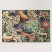 シーアネモネス、Actiniae Seeanemonen Ernst Haeckel ジグソーパズル (横)